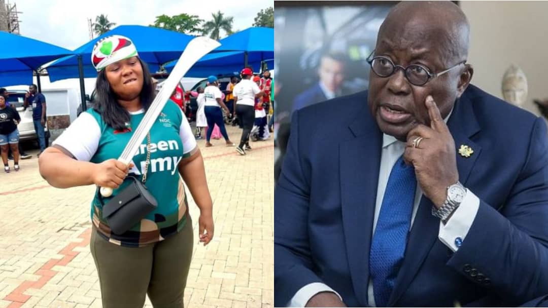I won’t allow you destroy my country – Akufo-Addo responds to NDC youth